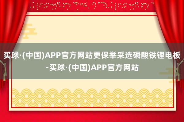 买球·(中国)APP官方网站更保举采选磷酸铁锂电板-买球·(中国)APP官方网站