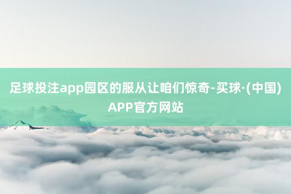 足球投注app园区的服从让咱们惊奇-买球·(中国)APP官方网站