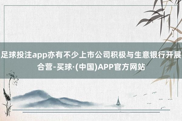 足球投注app亦有不少上市公司积极与生意银行开展合营-买球·(中国)APP官方网站