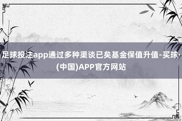 足球投注app通过多种渠谈已矣基金保值升值-买球·(中国)APP官方网站