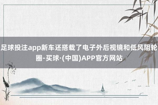 足球投注app新车还搭载了电子外后视镜和低风阻轮圈-买球·(中国)APP官方网站