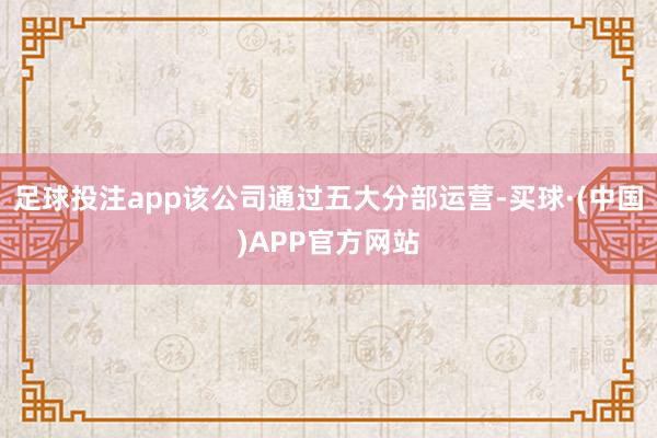 足球投注app该公司通过五大分部运营-买球·(中国)APP官方网站