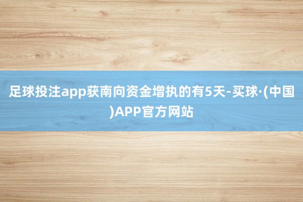 足球投注app获南向资金增执的有5天-买球·(中国)APP官方网站