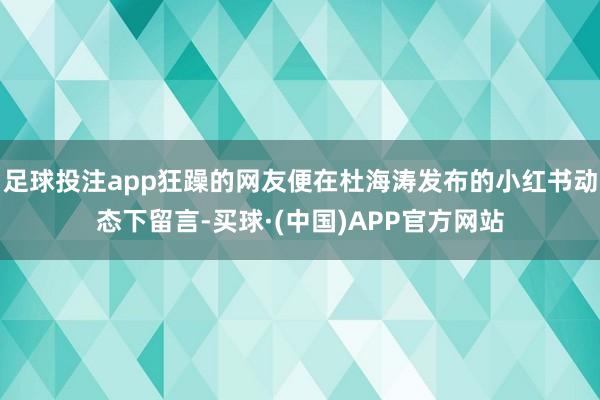足球投注app狂躁的网友便在杜海涛发布的小红书动态下留言-买球·(中国)APP官方网站