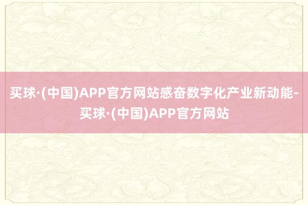 买球·(中国)APP官方网站感奋数字化产业新动能-买球·(中国)APP官方网站