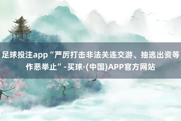 足球投注app“严厉打击非法关连交游、抽逃出资等作恶举止”-买球·(中国)APP官方网站