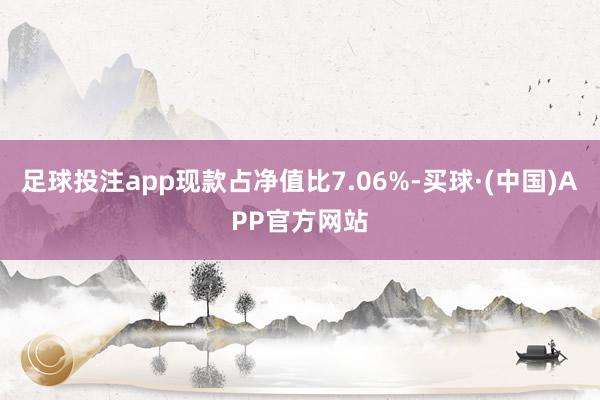 足球投注app现款占净值比7.06%-买球·(中国)APP官方网站