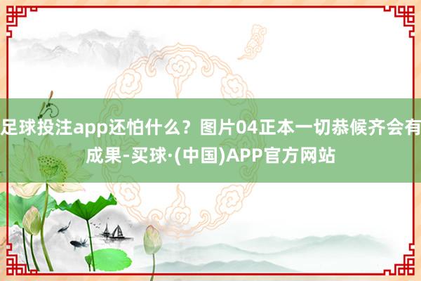 足球投注app还怕什么?图片04正本一切恭候齐会有成果-买球·(中国)APP官方网站