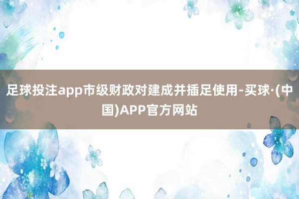 足球投注app市级财政对建成并插足使用-买球·(中国)APP官方网站