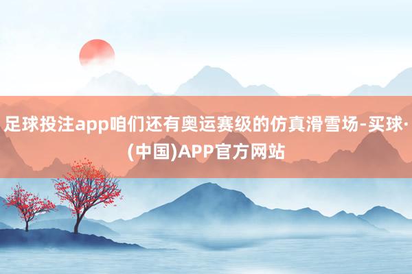 足球投注app咱们还有奥运赛级的仿真滑雪场-买球·(中国)APP官方网站