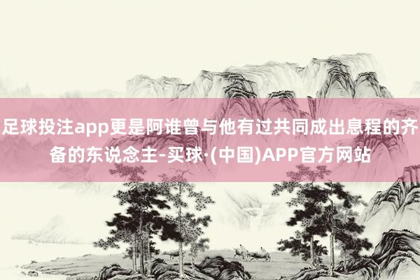 足球投注app更是阿谁曾与他有过共同成出息程的齐备的东说念主-买球·(中国)APP官方网站