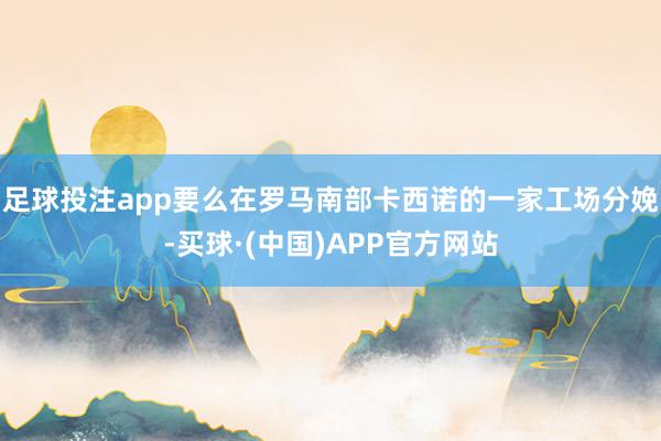 足球投注app要么在罗马南部卡西诺的一家工场分娩-买球·(中国)APP官方网站