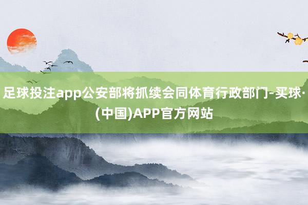 足球投注app公安部将抓续会同体育行政部门-买球·(中国)APP官方网站